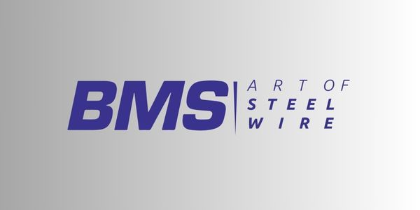 BMS Logo
